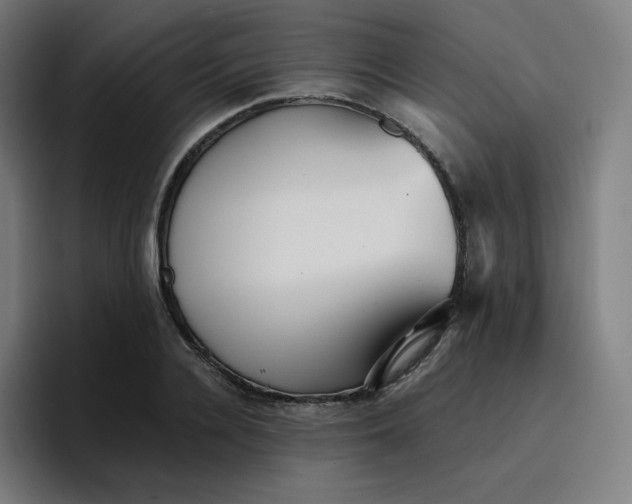 X0000096720936200802191525