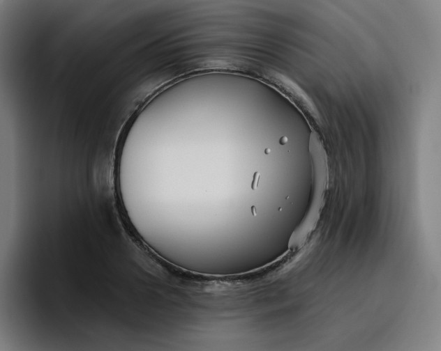 X0000096720938200802191525