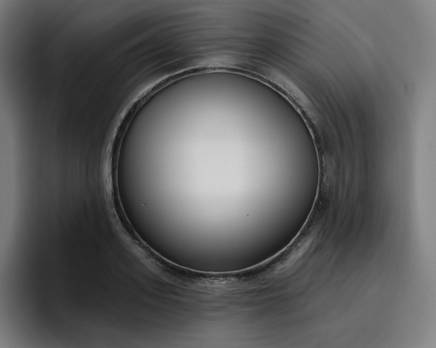 X0000096720939200802191525