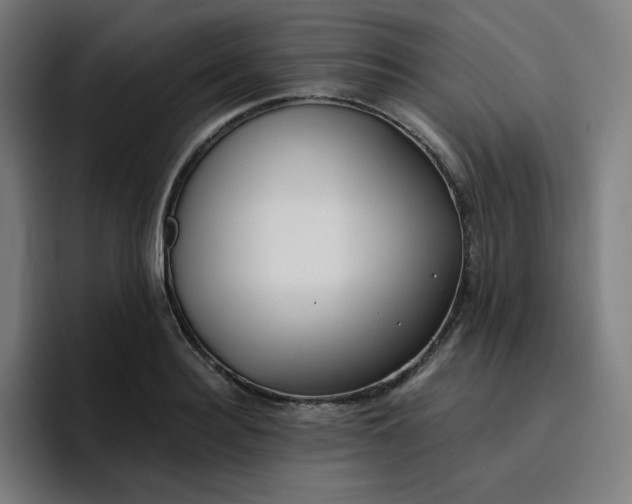 X0000096720940200802191525