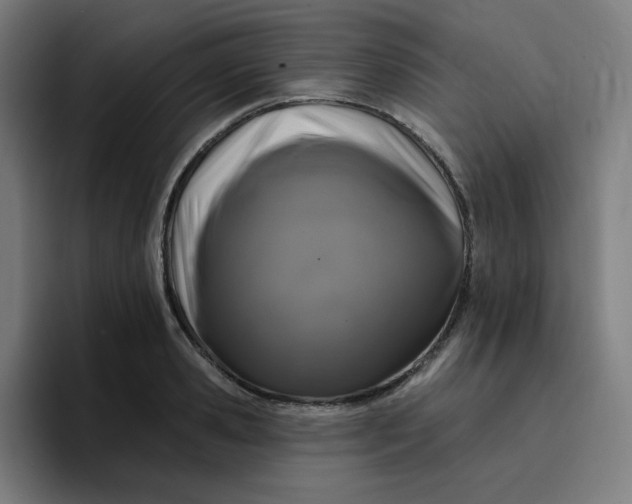 X0000096720941200802191525