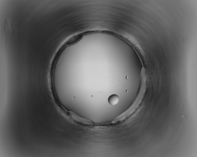 X0000096720942200802191525