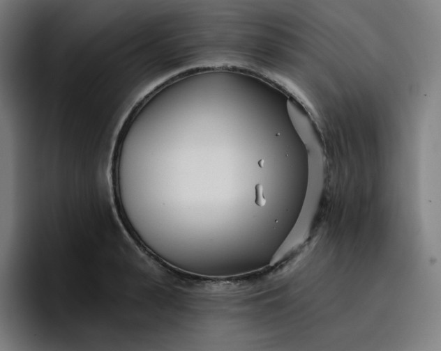 X0000096720943200802191525