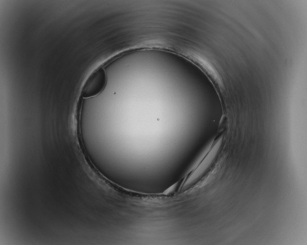 X0000096720944200802191525