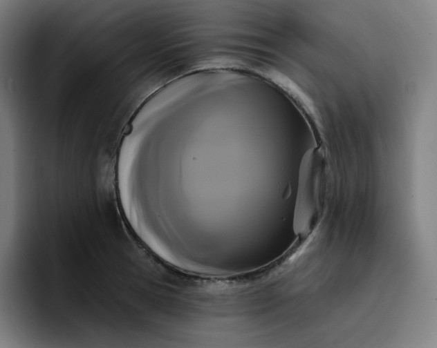 X0000096720945200802191525