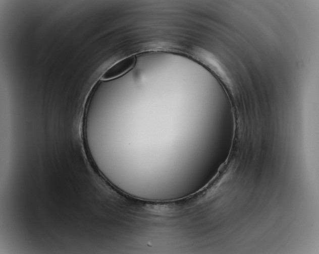 X0000096720946200802191525