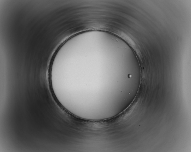 X0000096720947200802191525