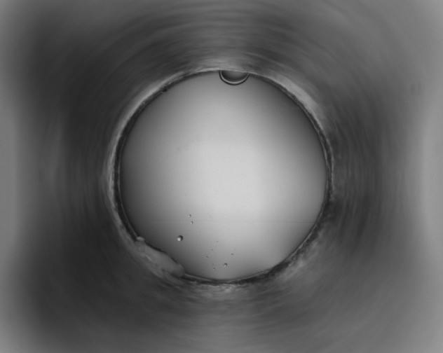 X0000096720949200802191525