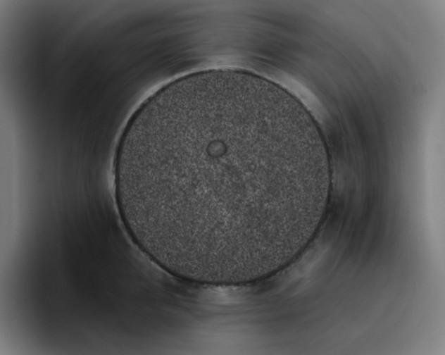 X0000096720950200802191525