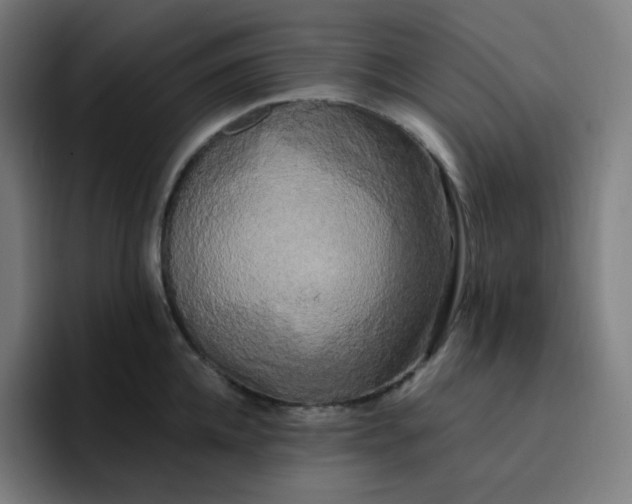 X0000096720952200802191525