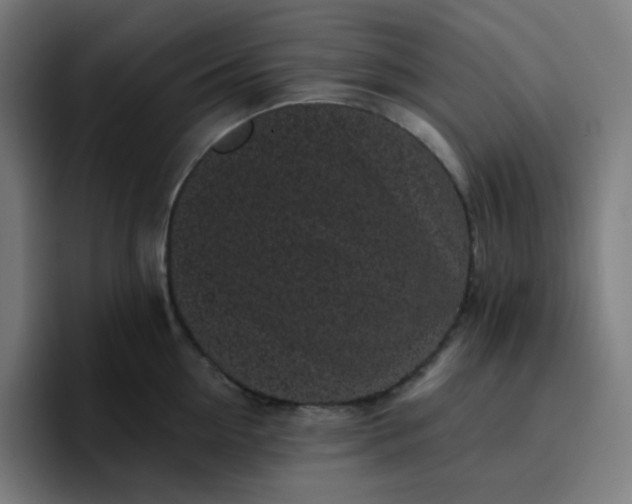 X0000096720954200802191526