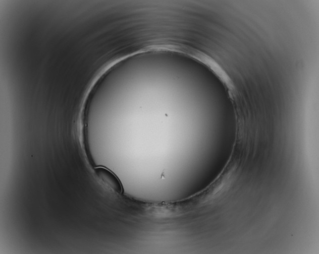 X0000096720955200802191526