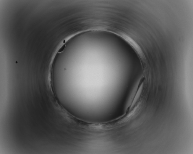 X0000096720956200802191526