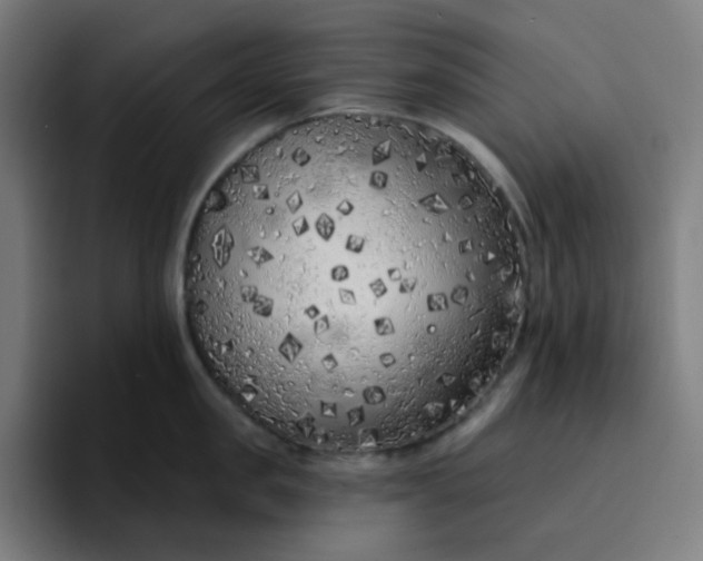 X0000096720957200802191526