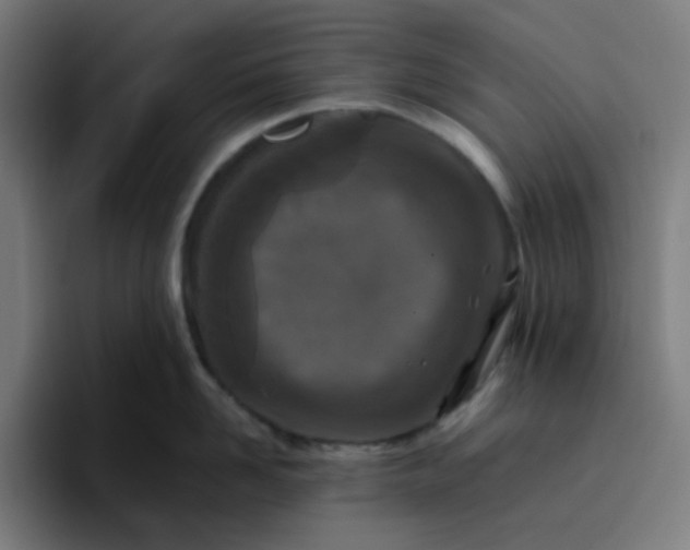 X0000096720958200802191526