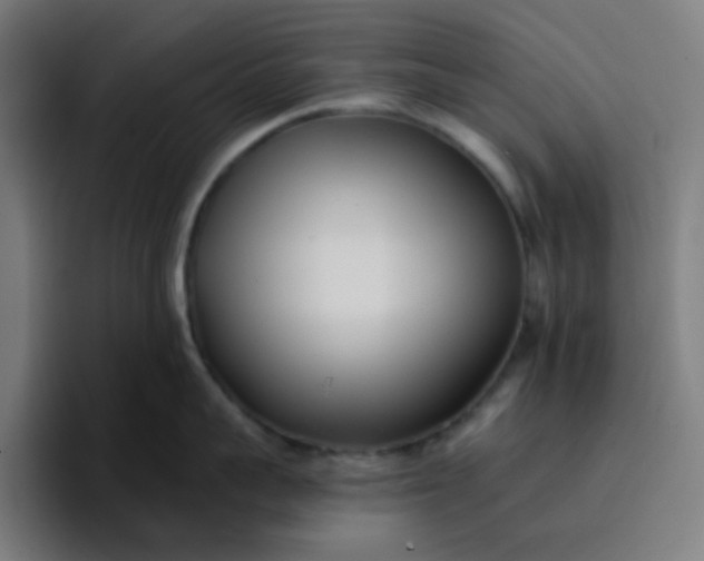 X0000096720959200802191526