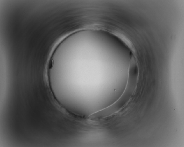 X0000096720960200802191526