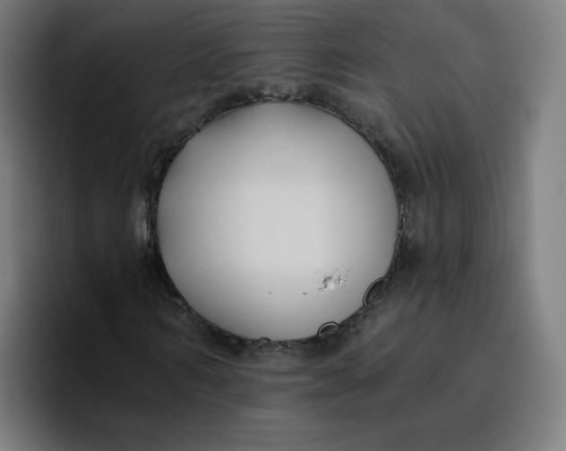 X0000096720962200802191525