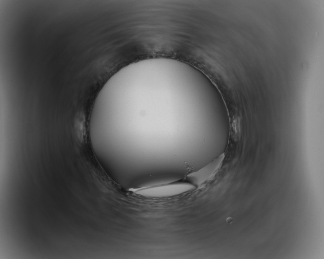 X0000096720963200802191525