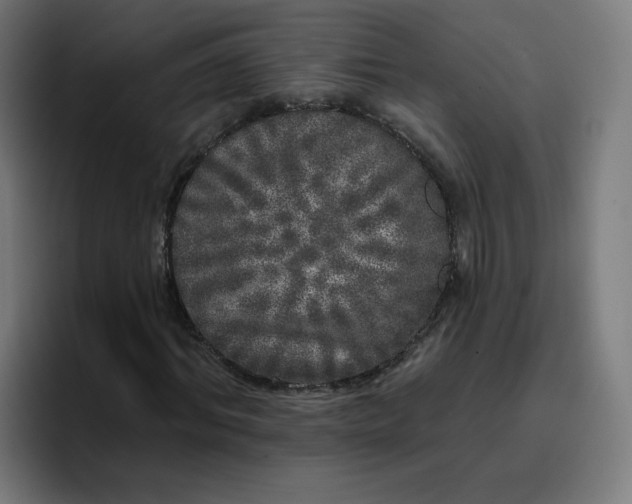 X0000096720964200802191525