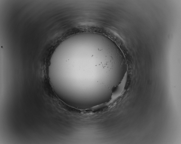 X0000096720965200802191525