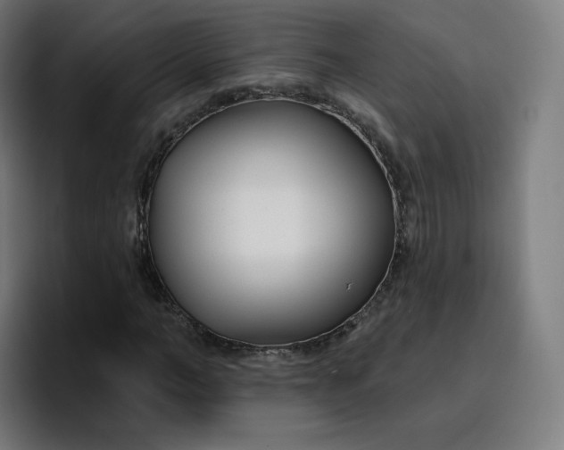 X0000096720966200802191525