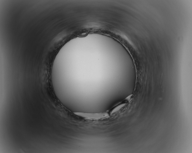 X0000096720967200802191525