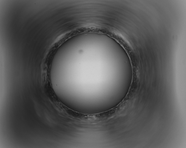 X0000096720968200802191525