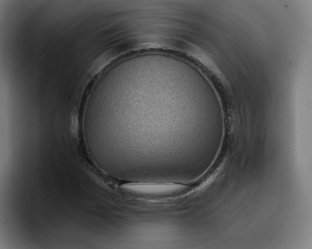 X0000096720969200802191525