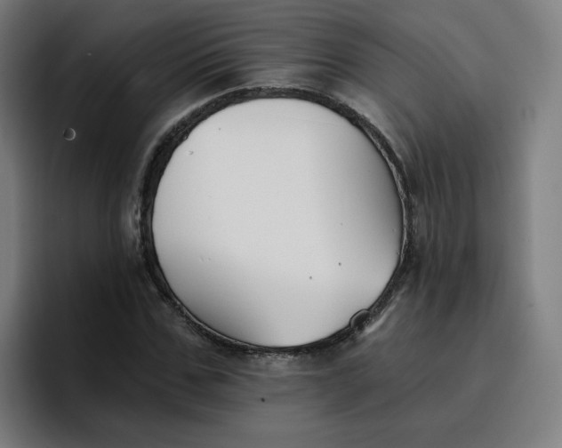 X0000096720971200802191525