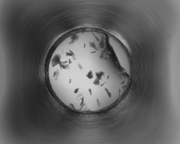 X0000096720972200802191525