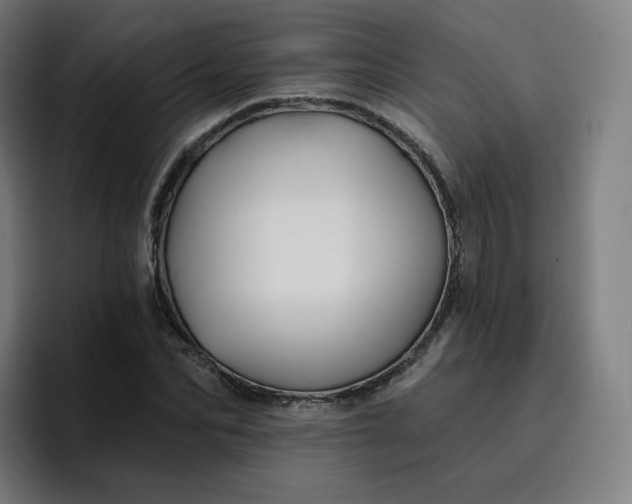 X0000096720974200802191525