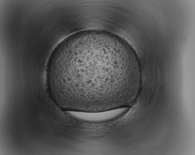 X0000096720975200802191525