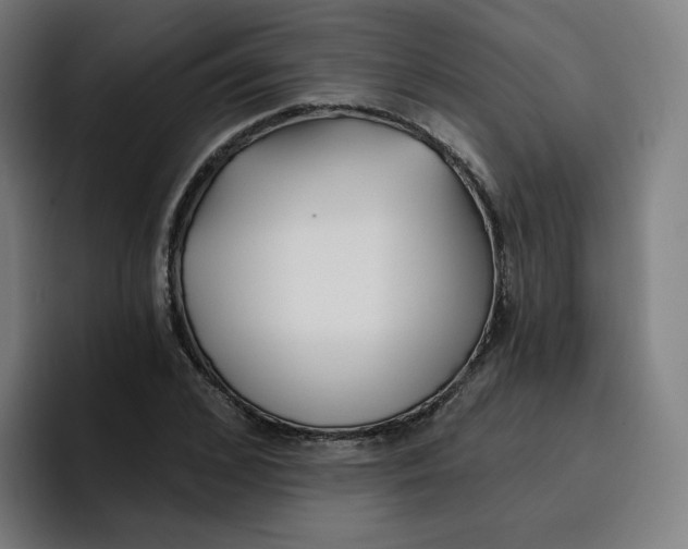 X0000096720976200802191525