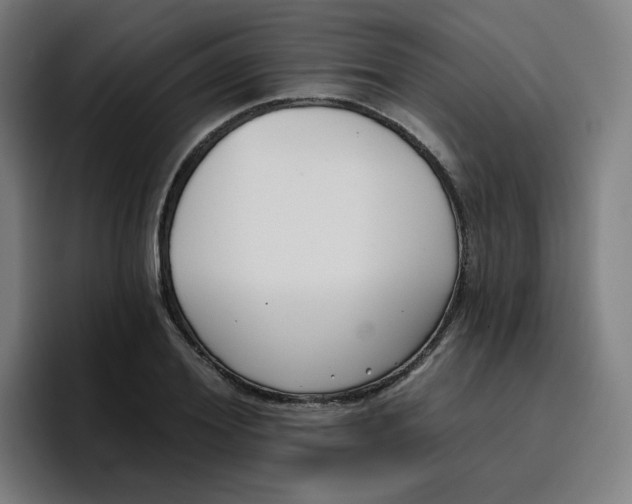 X0000096720980200802191525