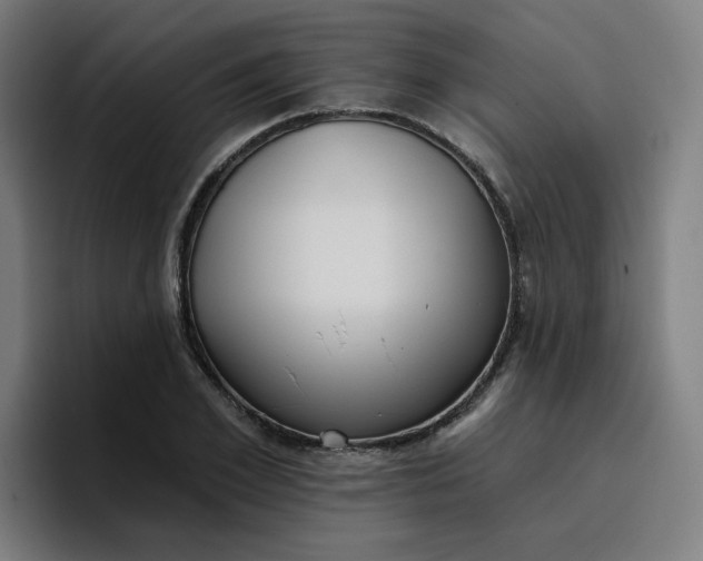 X0000096720981200802191525