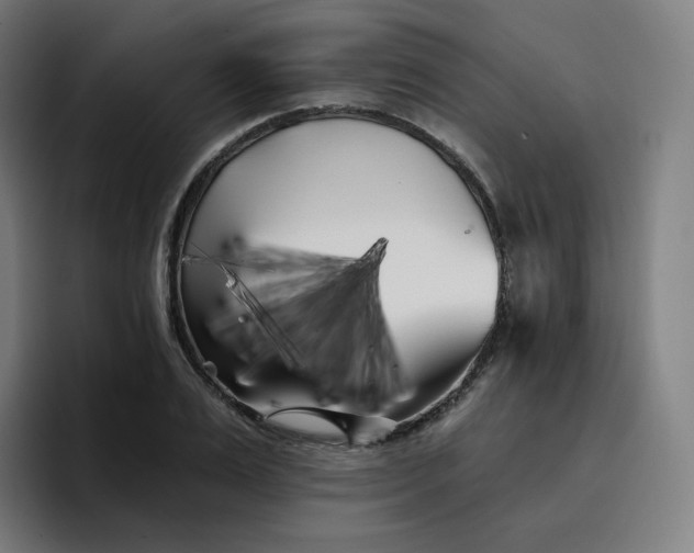 X0000096720983200802191525