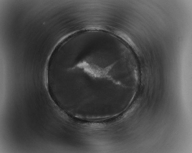 X0000096720984200802191525