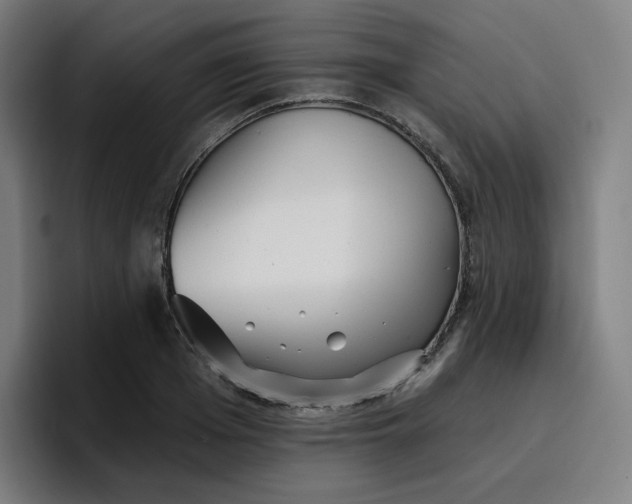 X0000096720985200802191525