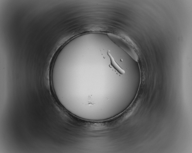 X0000096720986200802191525