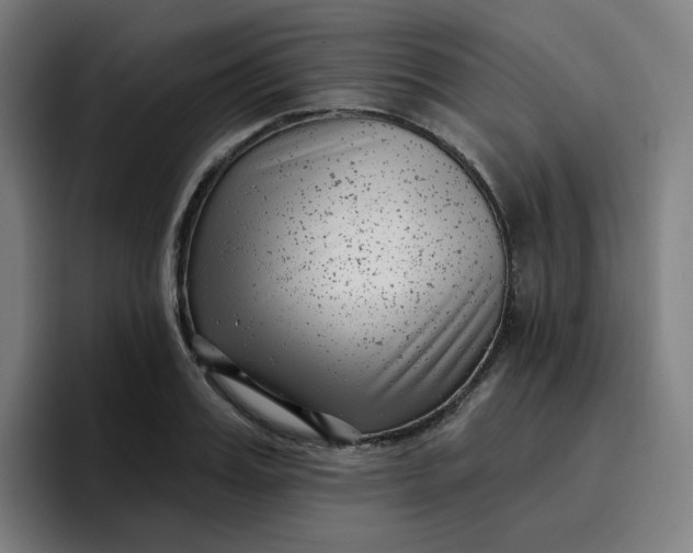 X0000096720987200802191525