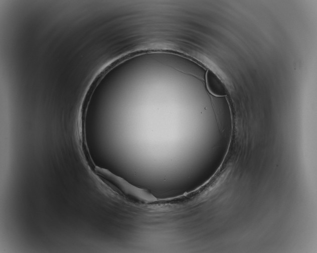 X0000096720988200802191525