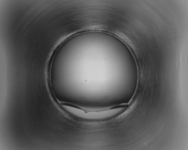 X0000096720989200802191525