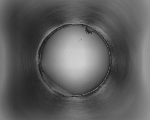 X0000096720990200802191525