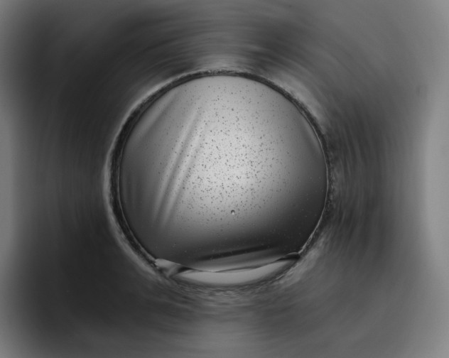 X0000096720991200802191525