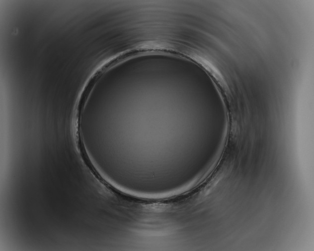 X0000096720992200802191525