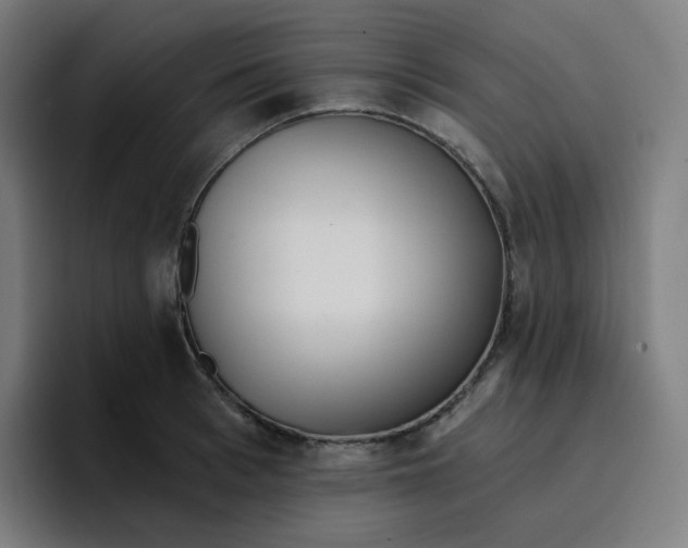 X0000096720993200802191525