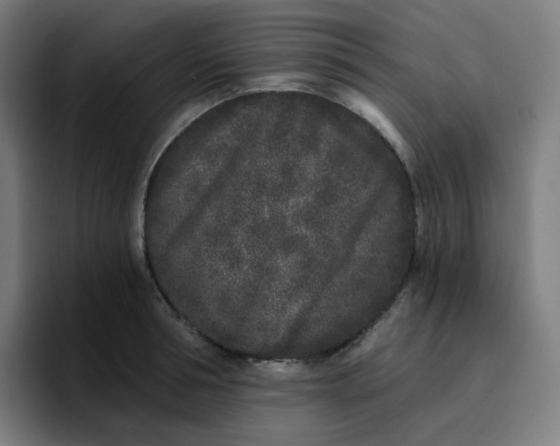 X0000096720994200802191525