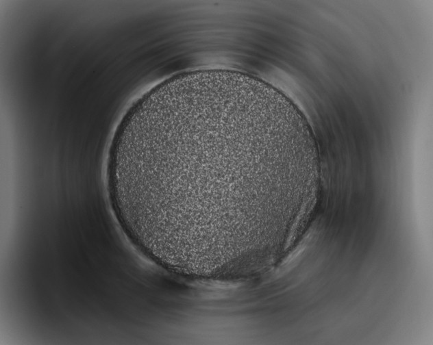 X0000096720995200802191525