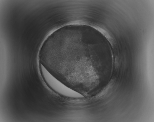 X0000096720998200802191524